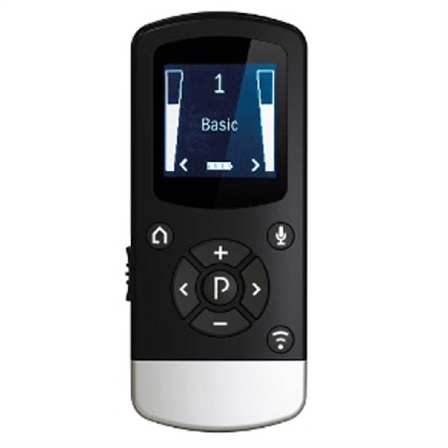 Interton - Remote Control 2