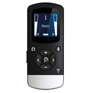 Interton - Remote Control 2