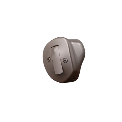 Oticon Own 2  ITE